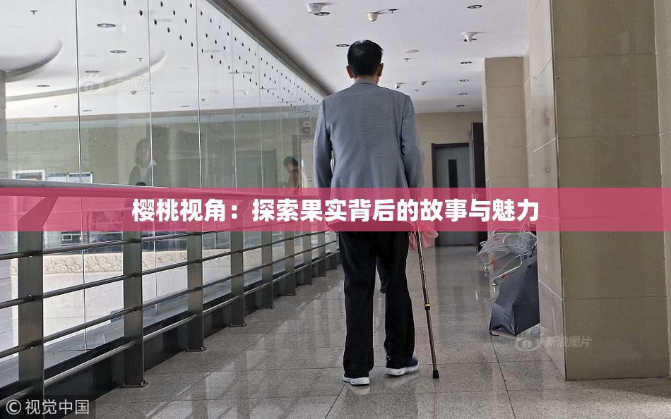 樱桃视角：探索果实背后的故事与魅力