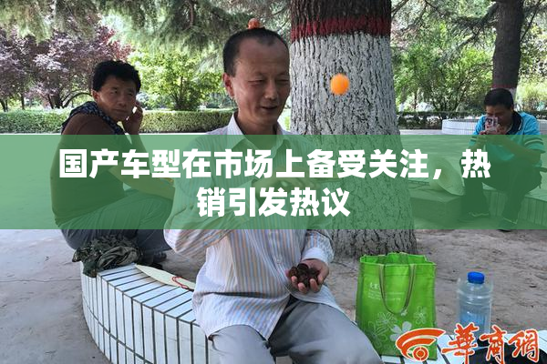 国产车型在市场上备受关注，热销引发热议