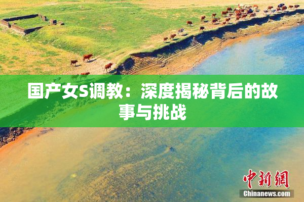 国产女S调教：深度揭秘背后的故事与挑战