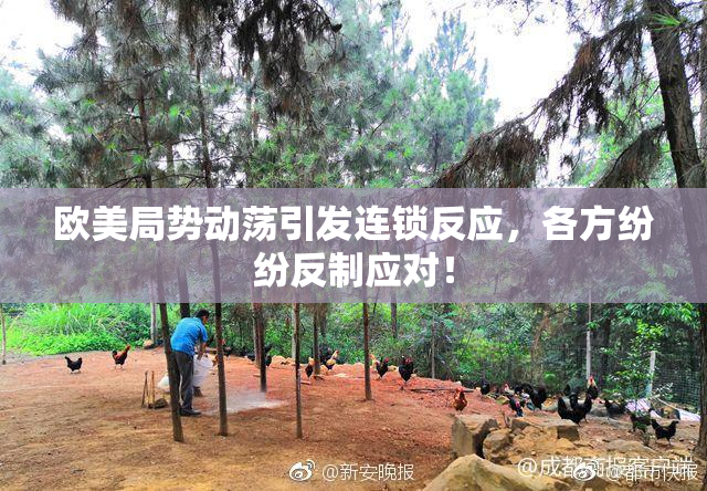 欧美局势动荡引发连锁反应，各方纷纷反制应对！