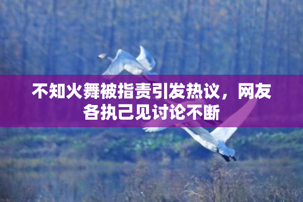 不知火舞被指责引发热议，网友各执己见讨论不断