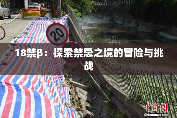 18禁β：探索禁忌之境的冒险与挑战
