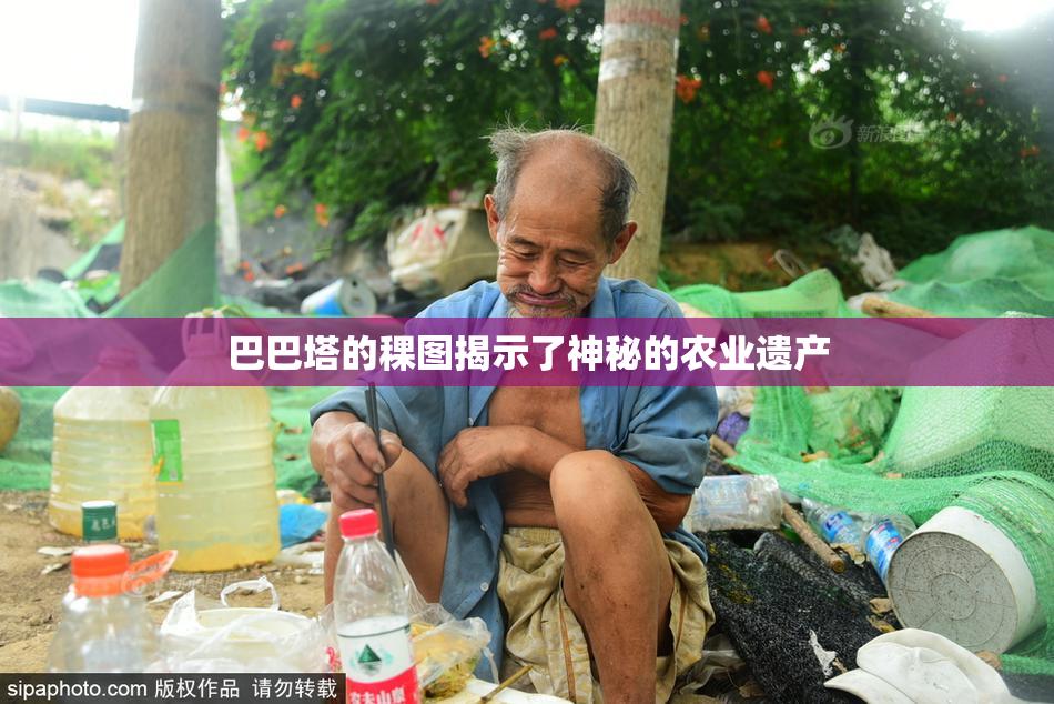 巴巴塔的稞图揭示了神秘的农业遗产