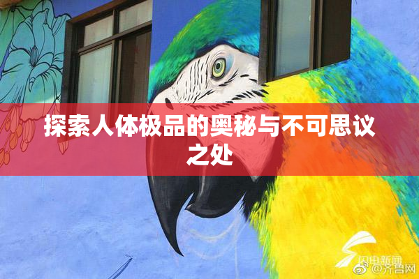 探索人体极品的奥秘与不可思议之处