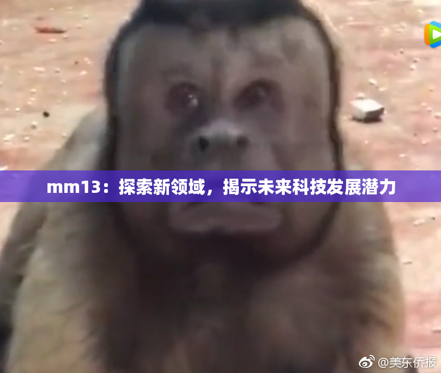 mm13：探索新领域，揭示未来科技发展潜力
