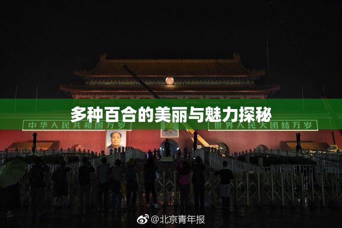 多种百合的美丽与魅力探秘