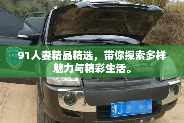 91人妻精品精选，带你探索多样魅力与精彩生活。