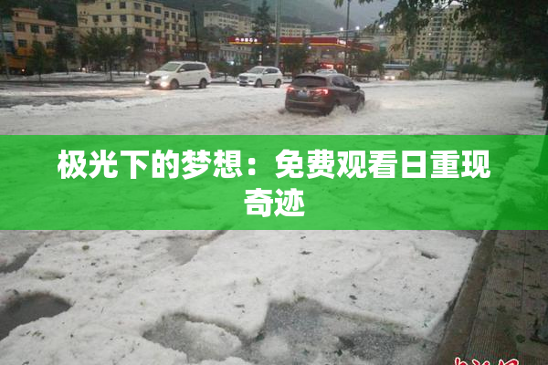 极光下的梦想：免费观看日重现奇迹