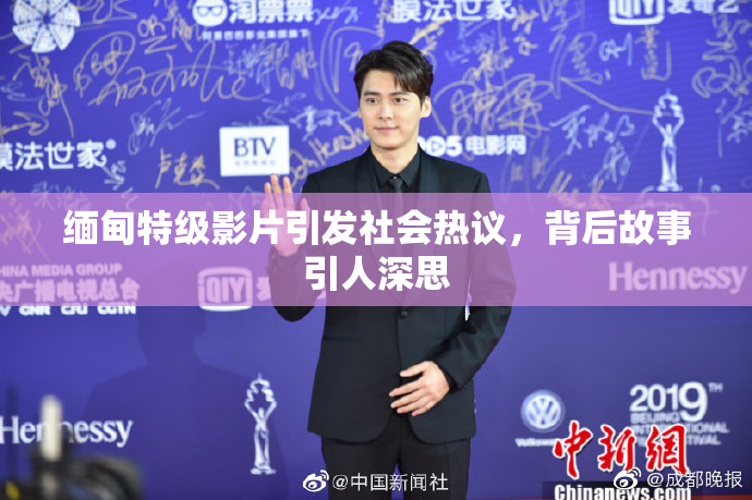 缅甸特级影片引发社会热议，背后故事引人深思