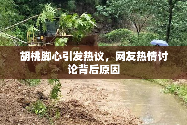 胡桃脚心引发热议，网友热情讨论背后原因