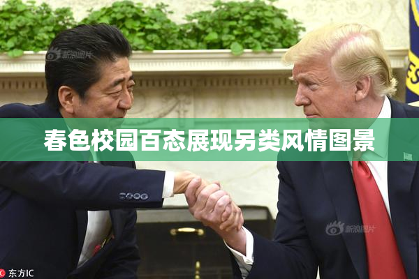 春色校园百态展现另类风情图景