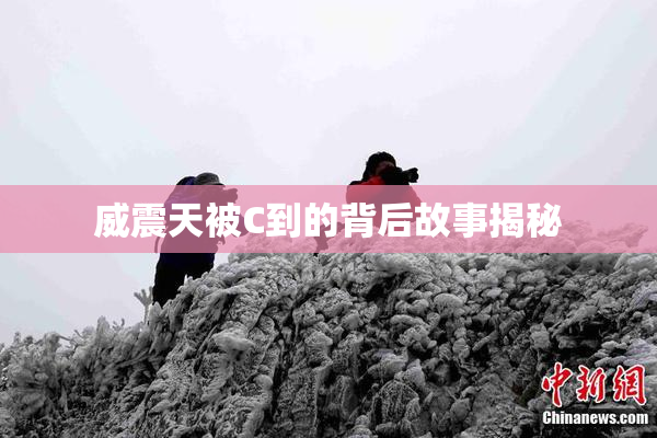 威震天被C到的背后故事揭秘