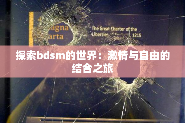 探索bdsm的世界：激情与自由的结合之旅