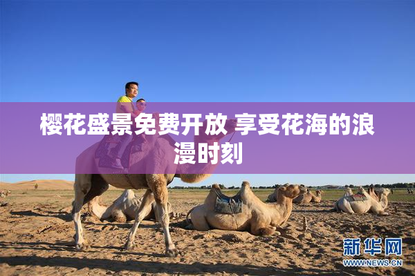 樱花盛景免费开放 享受花海的浪漫时刻