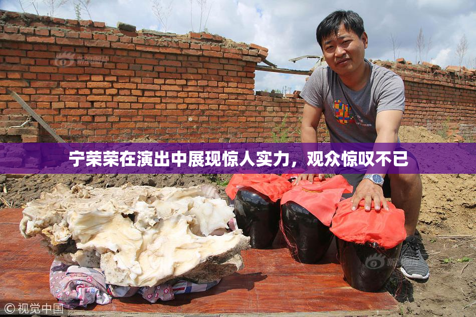 宁荣荣在演出中展现惊人实力，观众惊叹不已