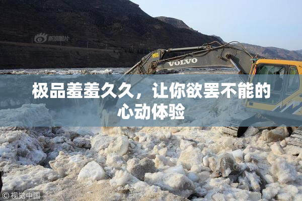 极品羞羞久久，让你欲罢不能的心动体验