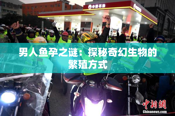 男人鱼孕之谜：探秘奇幻生物的繁殖方式