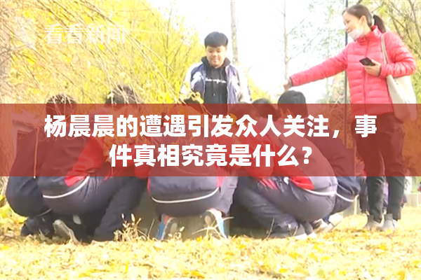 杨晨晨的遭遇引发众人关注，事件真相究竟是什么？