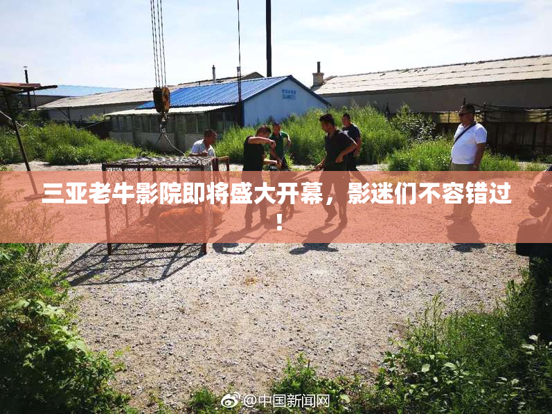 三亚老牛影院即将盛大开幕，影迷们不容错过！