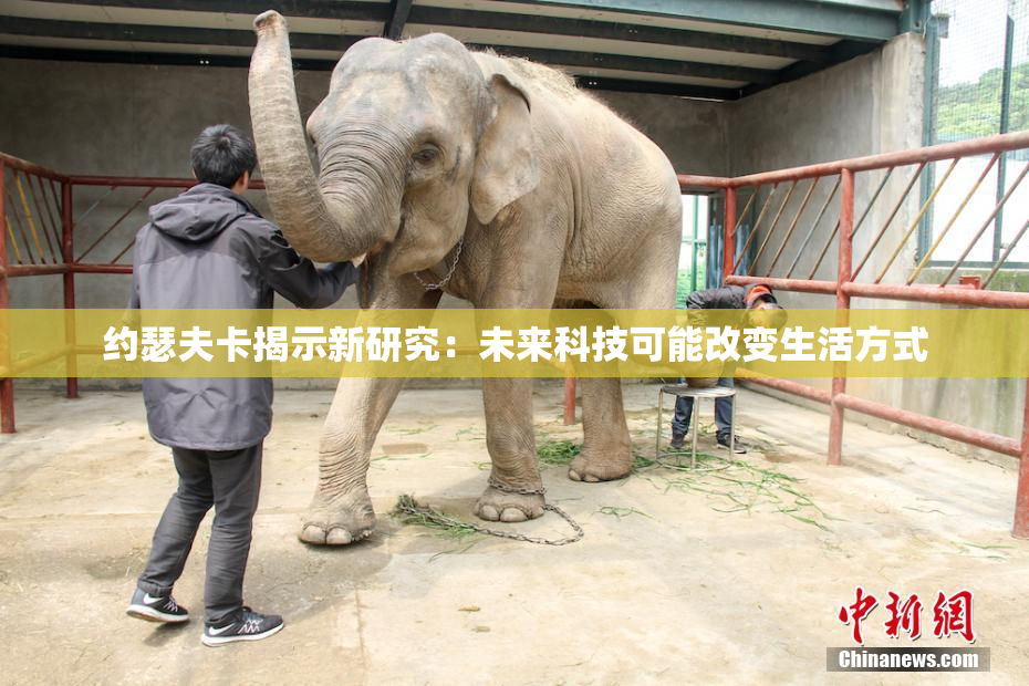约瑟夫卡揭示新研究：未来科技可能改变生活方式