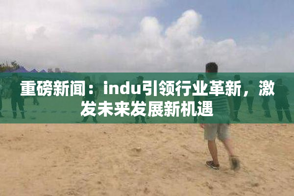 重磅新闻：indu引领行业革新，激发未来发展新机遇