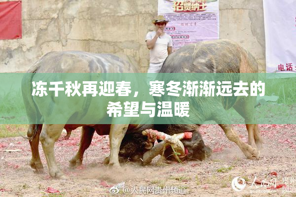 冻千秋再迎春，寒冬渐渐远去的希望与温暖
