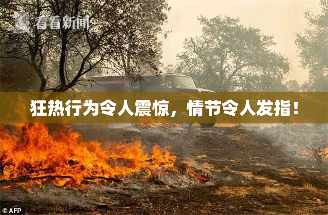 狂热行为令人震惊，情节令人发指！