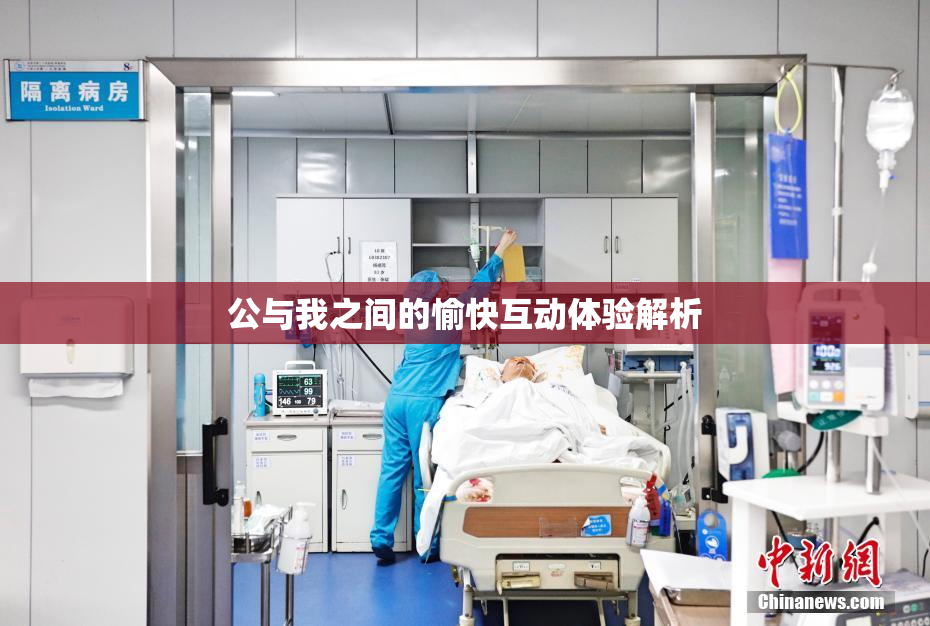 公与我之间的愉快互动体验解析