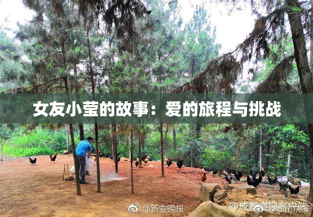 女友小莹的故事：爱的旅程与挑战