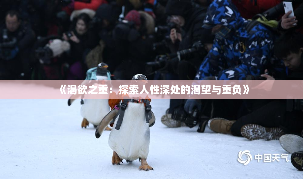 《渴欲之重：探索人性深处的渴望与重负》