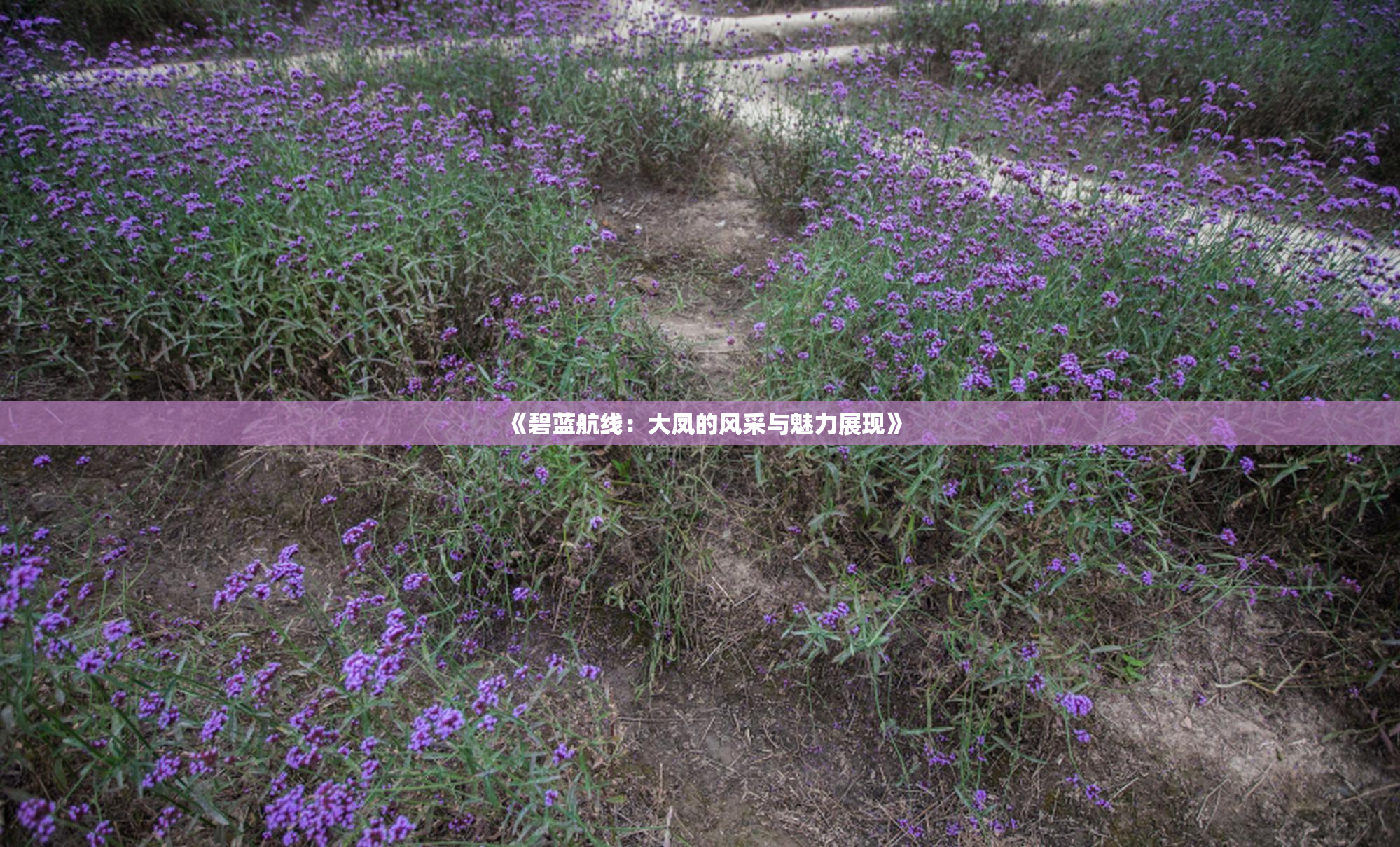 《碧蓝航线：大凤的风采与魅力展现》