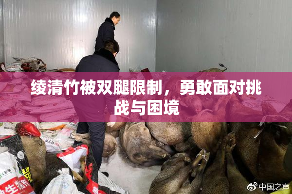 绫清竹被双腿限制，勇敢面对挑战与困境