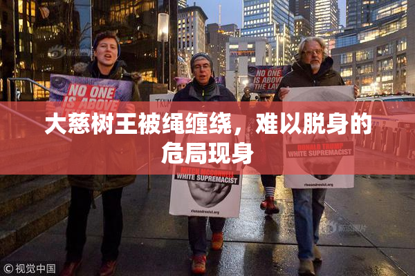 大慈树王被绳缠绕，难以脱身的危局现身