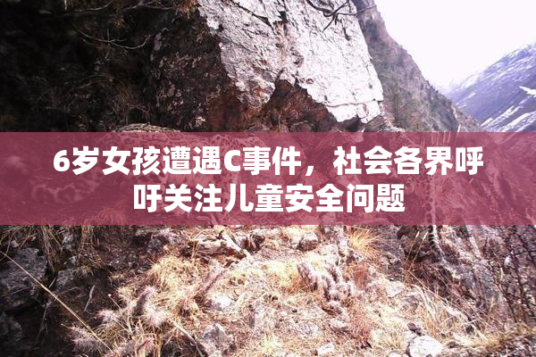 6岁女孩遭遇C事件，社会各界呼吁关注儿童安全问题