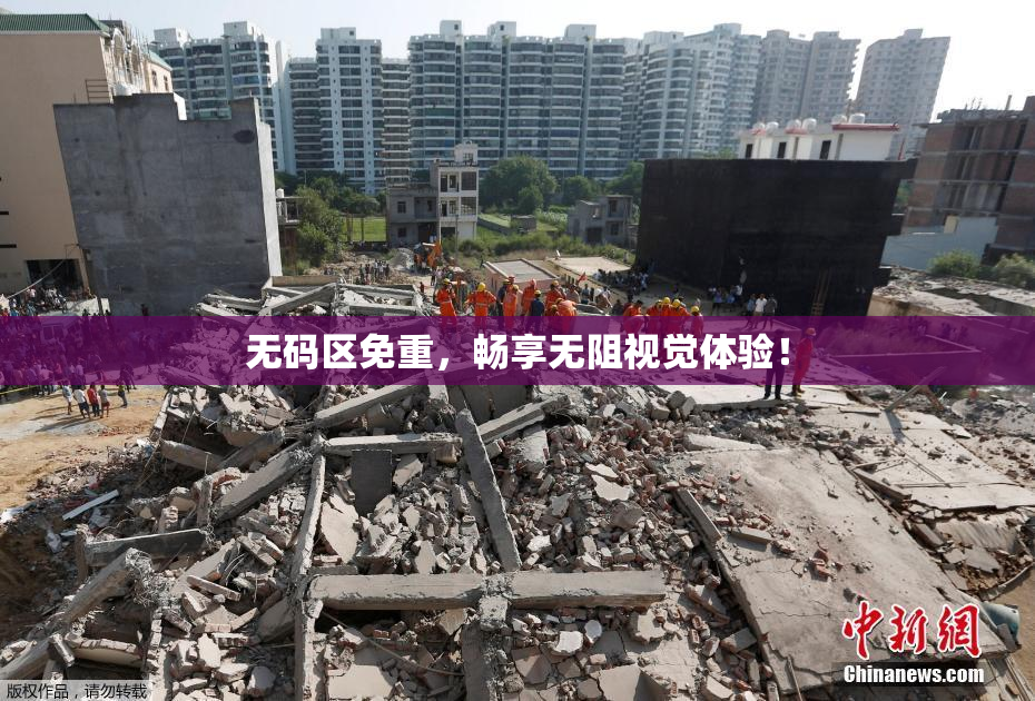 无码区免重，畅享无阻视觉体验！