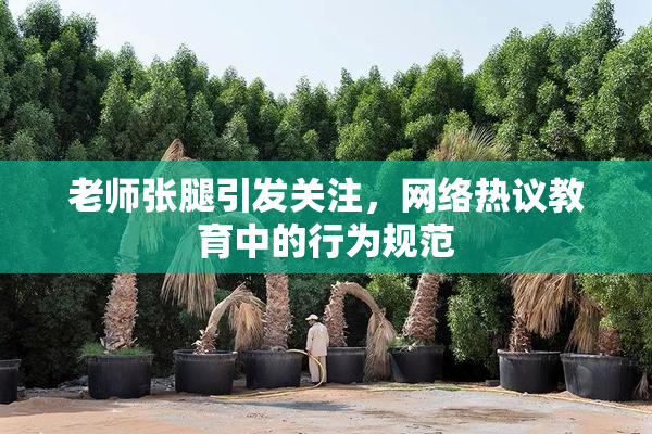 老师张腿引发关注，网络热议教育中的行为规范