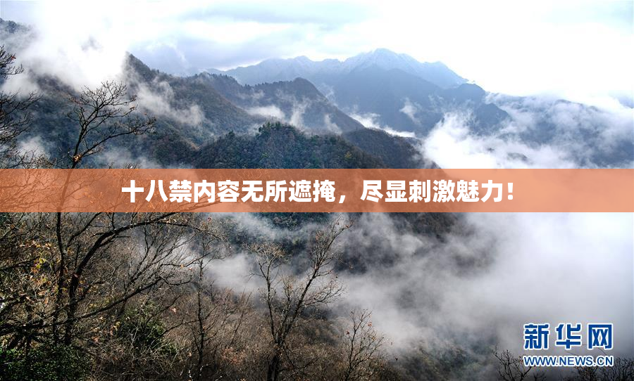 十八禁内容无所遮掩，尽显刺激魅力！
