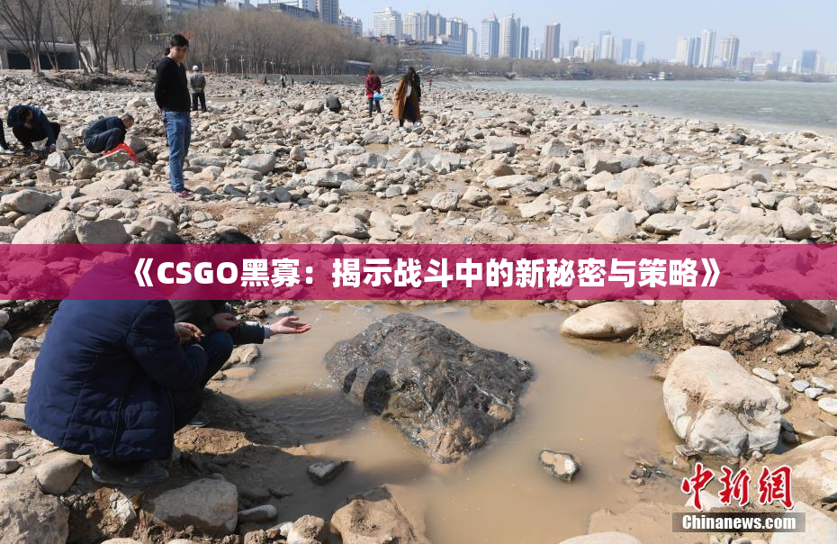 《CSGO黑寡：揭示战斗中的新秘密与策略》