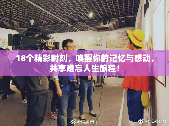 18个精彩时刻，唤醒你的记忆与感动，共享难忘人生旅程！