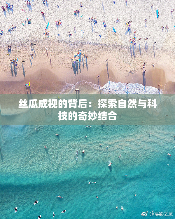 丝瓜成视的背后：探索自然与科技的奇妙结合