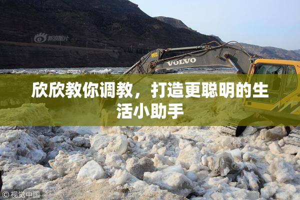 欣欣教你调教，打造更聪明的生活小助手