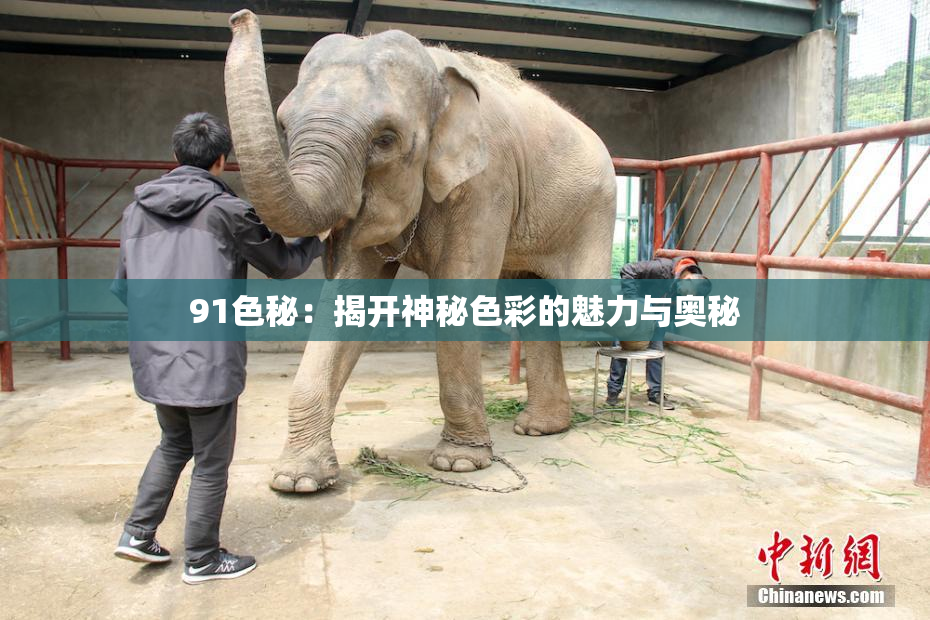 91色秘：揭开神秘色彩的魅力与奥秘