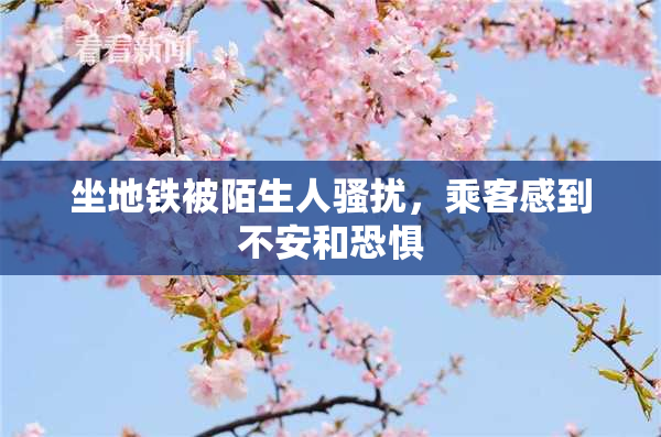 坐地铁被陌生人骚扰，乘客感到不安和恐惧