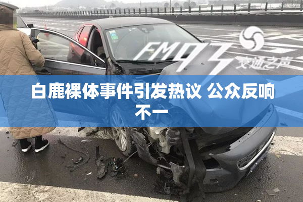 白鹿裸体事件引发热议 公众反响不一