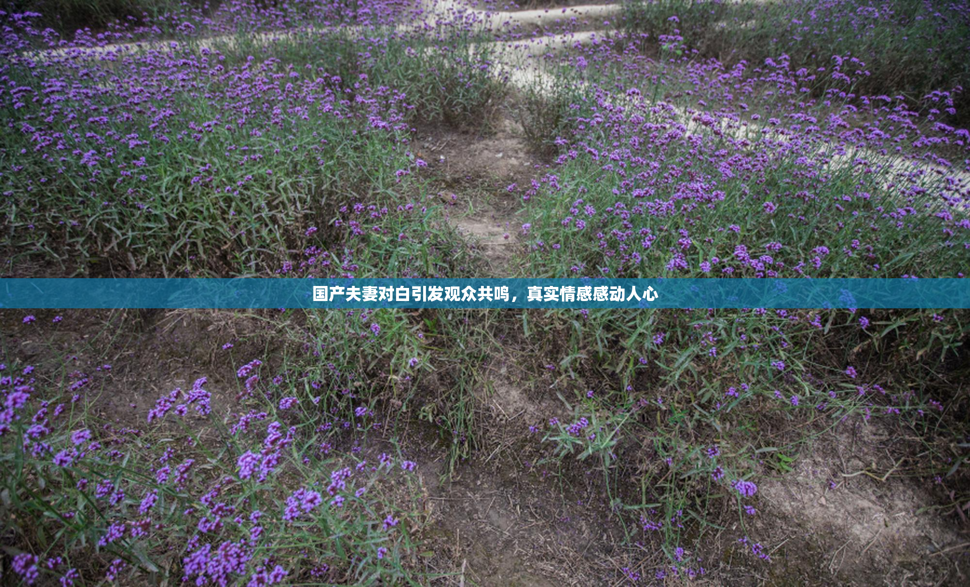 国产夫妻对白引发观众共鸣，真实情感感动人心