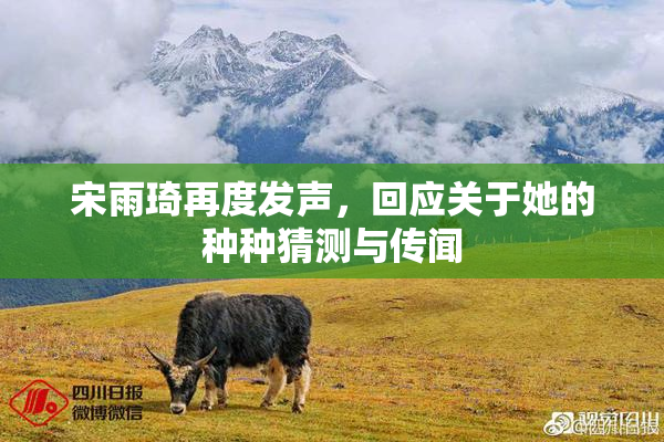 宋雨琦再度发声，回应关于她的种种猜测与传闻