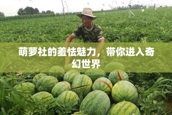 萌萝社的羞怯魅力，带你进入奇幻世界