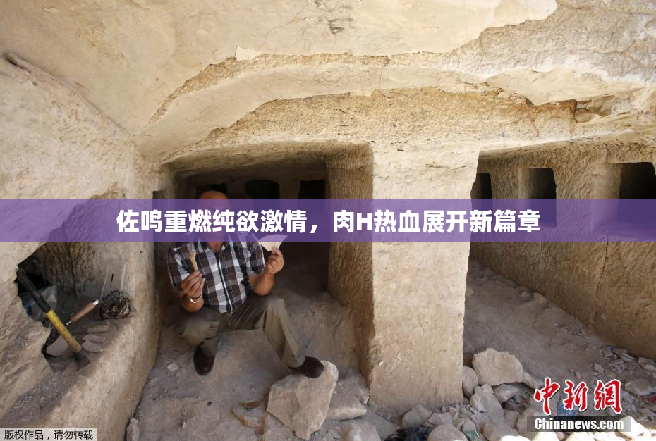 佐鸣重燃纯欲激情，肉H热血展开新篇章