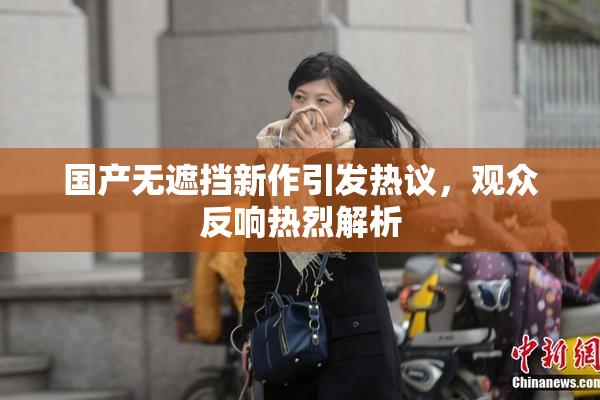 国产无遮挡新作引发热议，观众反响热烈解析