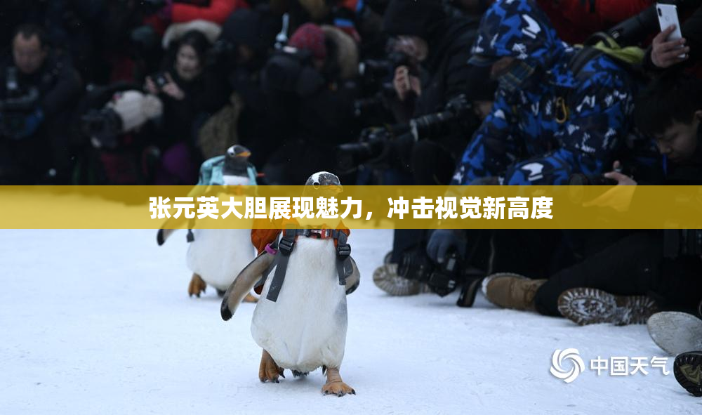 张元英大胆展现魅力，冲击视觉新高度